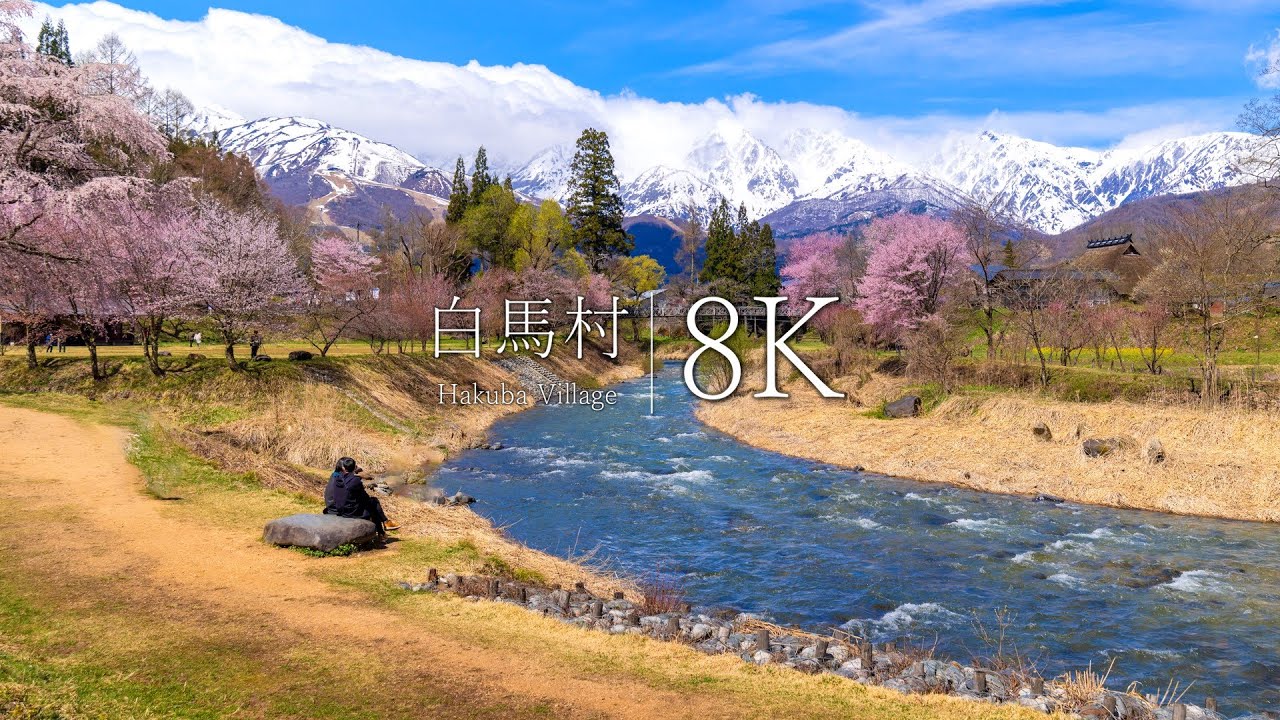 【日本一美しい村】白馬村の桜絶景 12選 - JAPAN in 8K