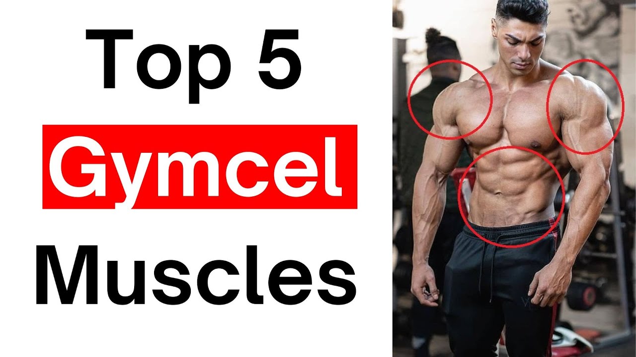 Мускулы Gymcel против эстетических мышц