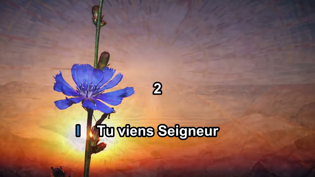 Nous chanterons pour toi Seigneur