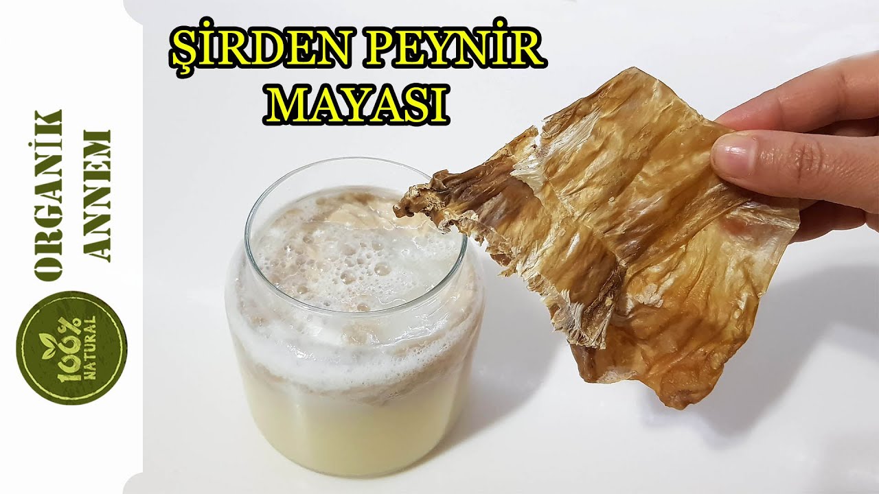ŞİRDEN PEYNİR MAYASI TARİFİ 🧀 EN DOĞAL PEYNİR MAYASI TARİFİ 🐐 BU TARİF HİÇBİR YERDE YOK!!
