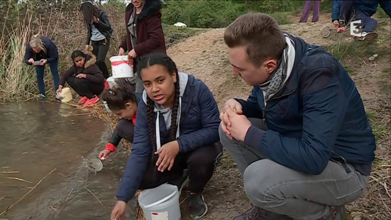France 3 Alsace 19/20  Reportage collégiens à la base nautique de Reiningue