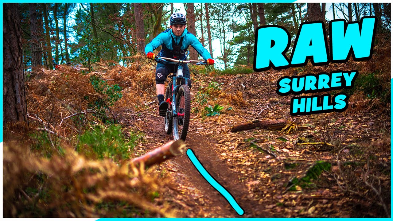 Shredding The Winter Trails Of Holmbury Hill | Surrey Hills