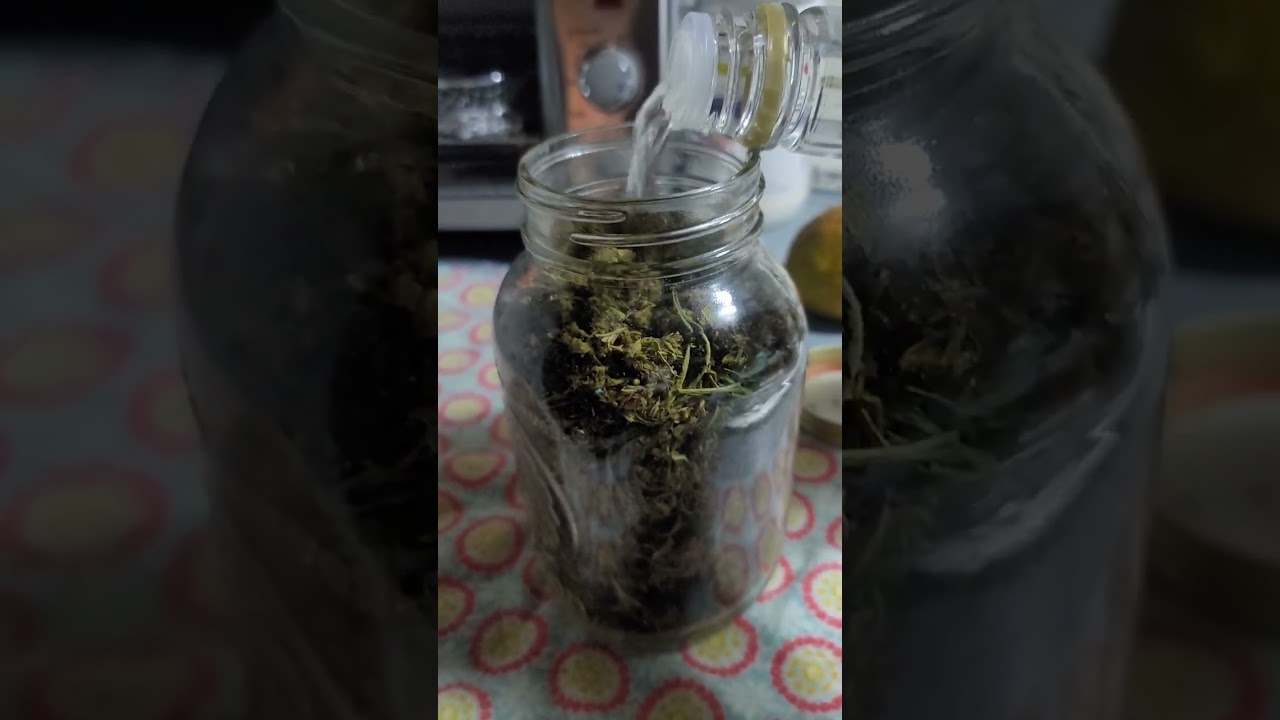 Making a Weed Tincture.