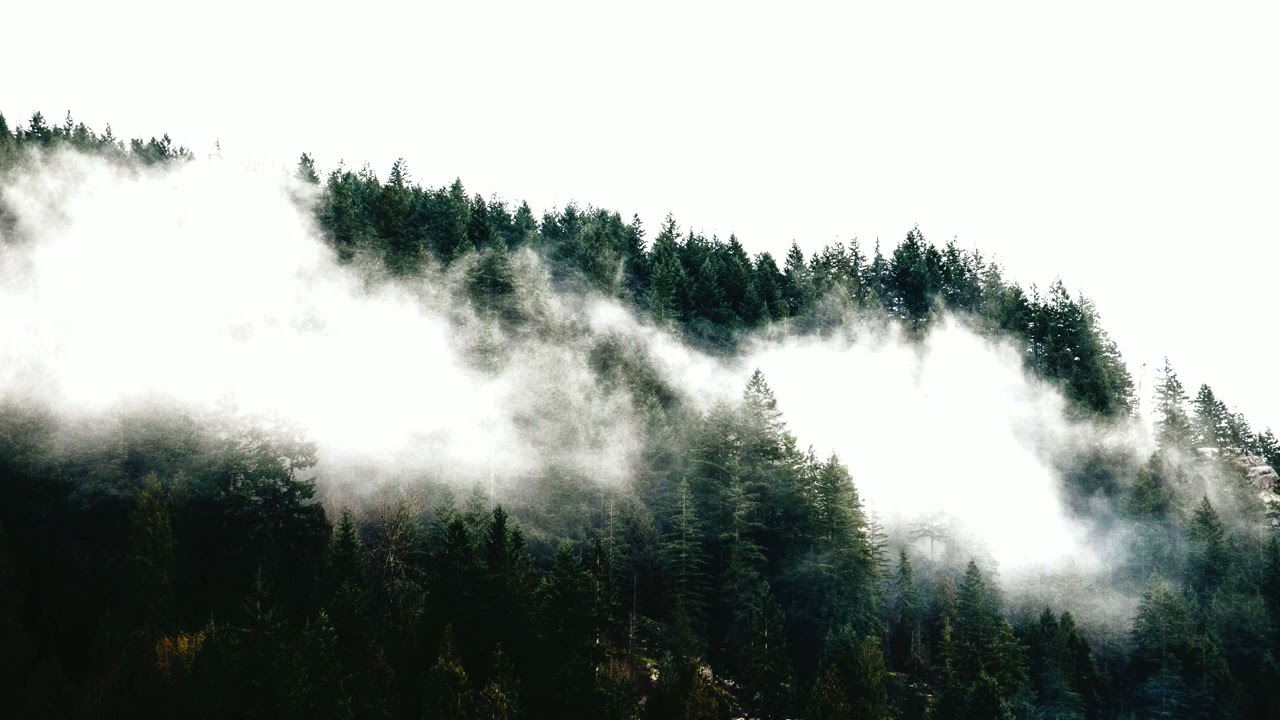 Ruffhouse - Vega June 2023 mix