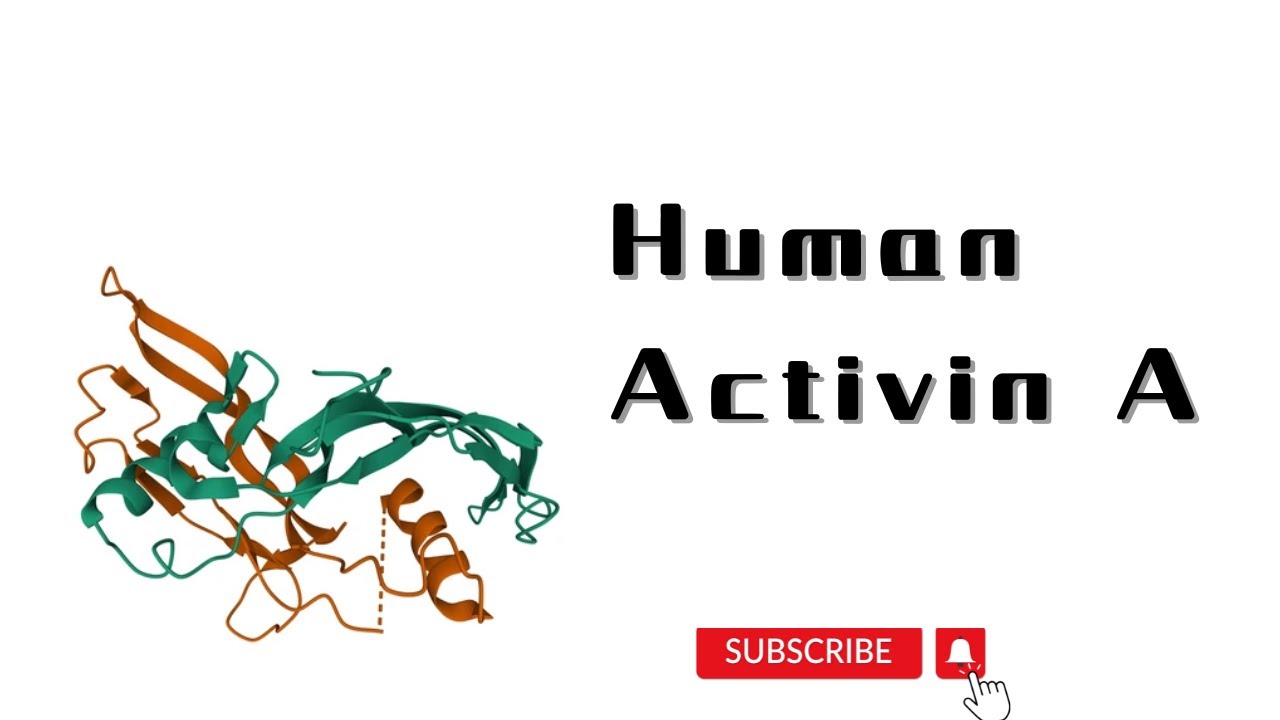 Human Activin A #pharamacology #pharma #pharmaceutical #pharmacist #healthcare #health