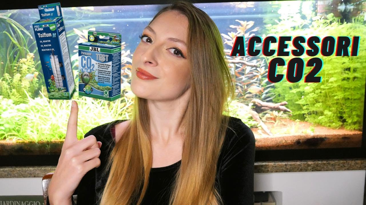 GLI ACCESSORI FONDAMENTALI PER LA CO2 IN ACQUARIO