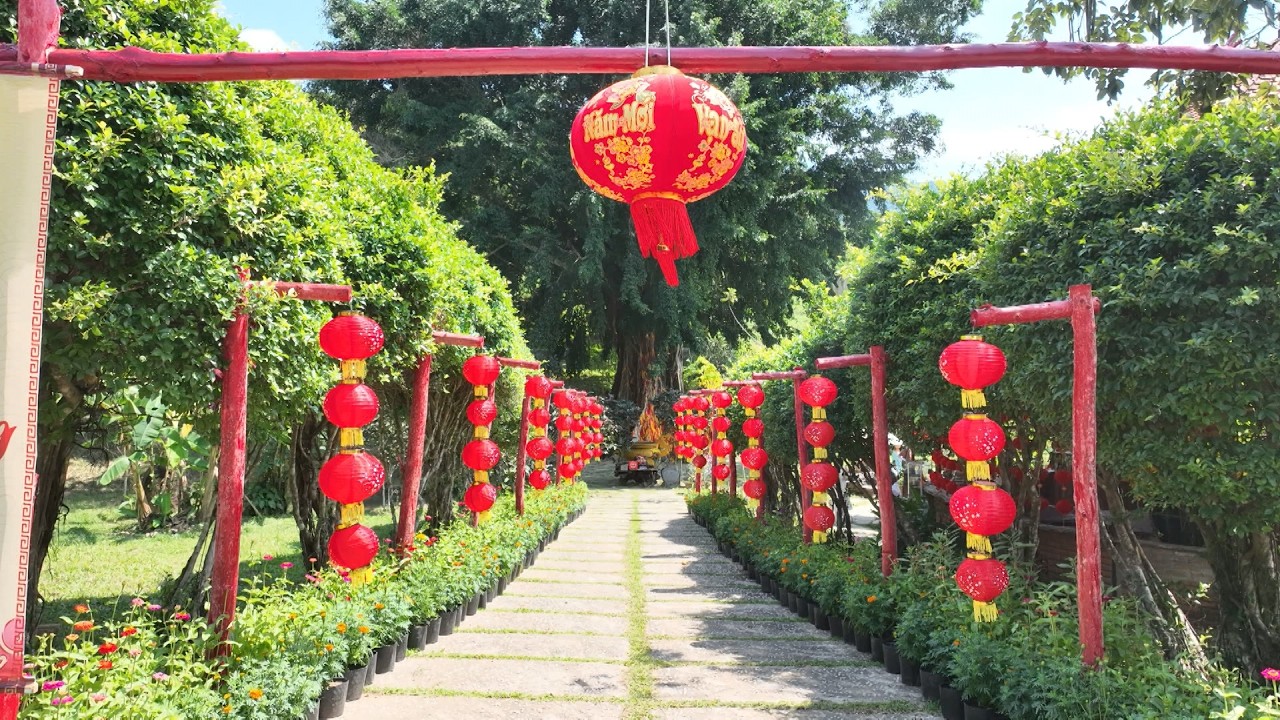Khánh Hòa sẵn sàng đón khách du xuân | Thời sự tối 8.2.2026