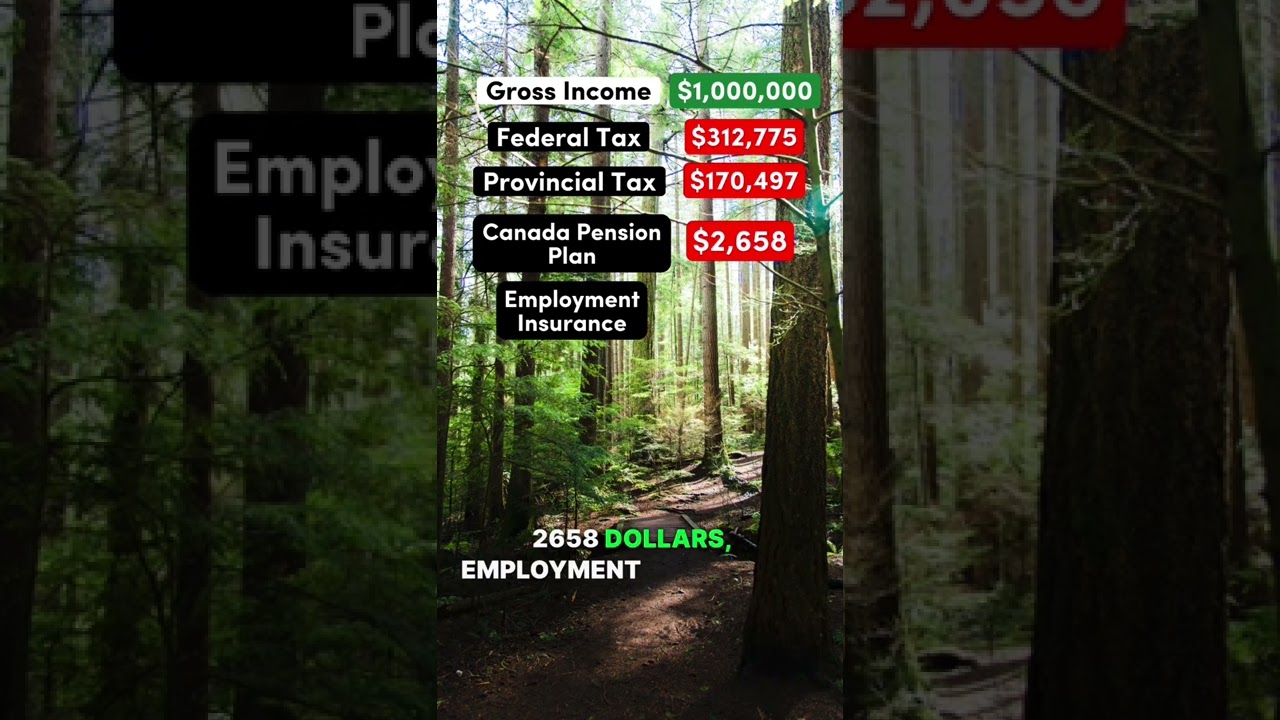 $1 Million After Taxes in Manitoba, Canada #manitoba #canada #conservative #liberal