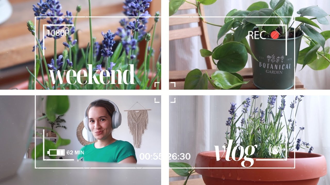 helló növénymama! ❀ I eszterszeglete