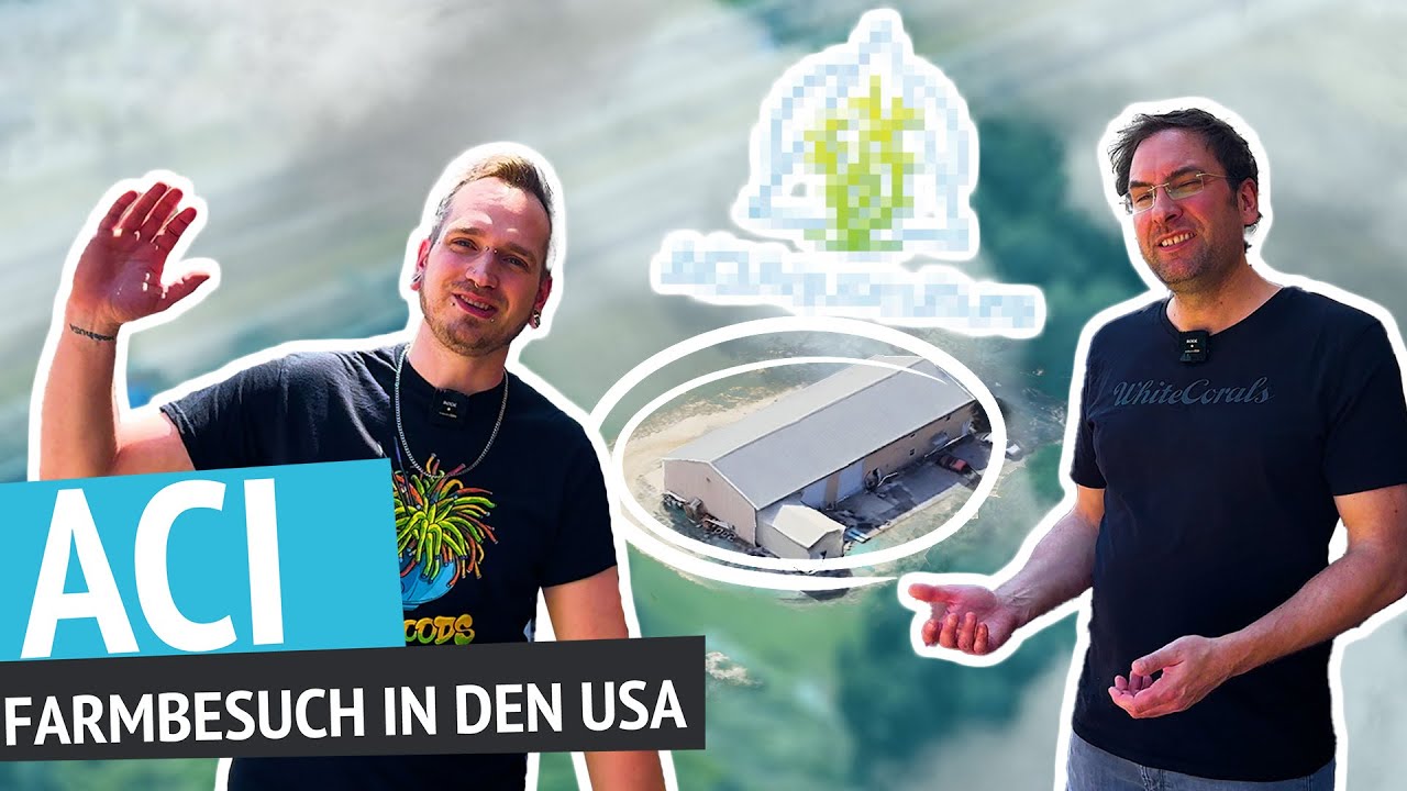 Zu Besuch bei ACI Aquaculture - Wir sind in den USA!