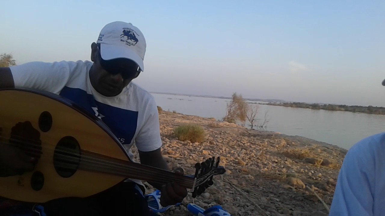 نبض أبوسنبل