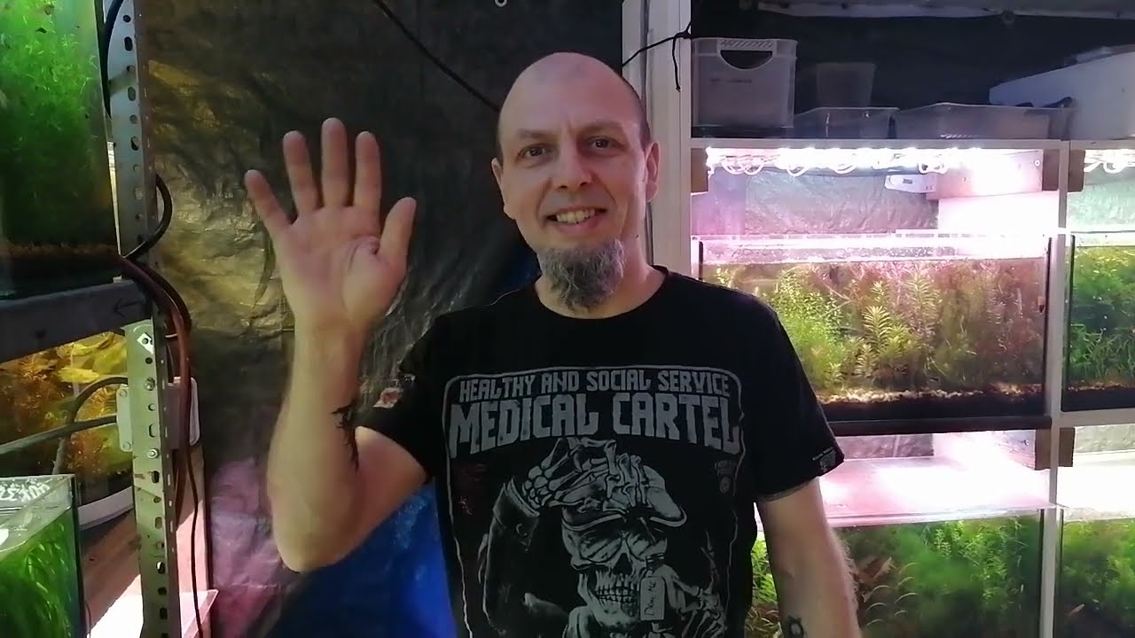 308.Samo mięso x3