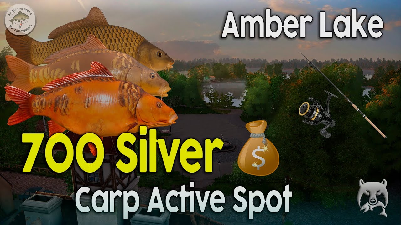 📌BEST Amber Lake CARP Spot! 700 Silver/Hour – Russian Fishing 4 (Mirror & Common Carp Guide)