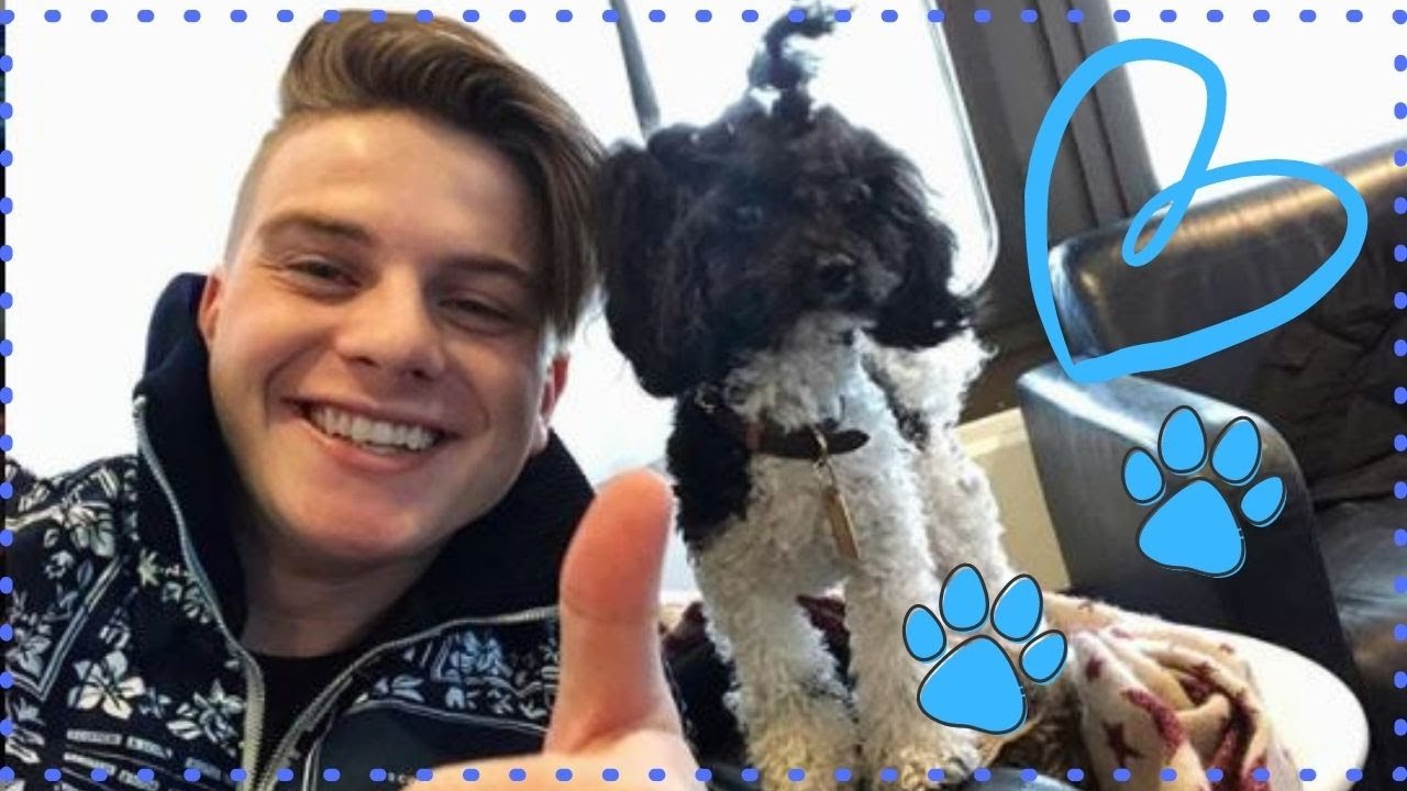 Vincent Gross stellt uns seine Hundedame Britney vor 😍 | Stars und ihre Haustiere 🐶