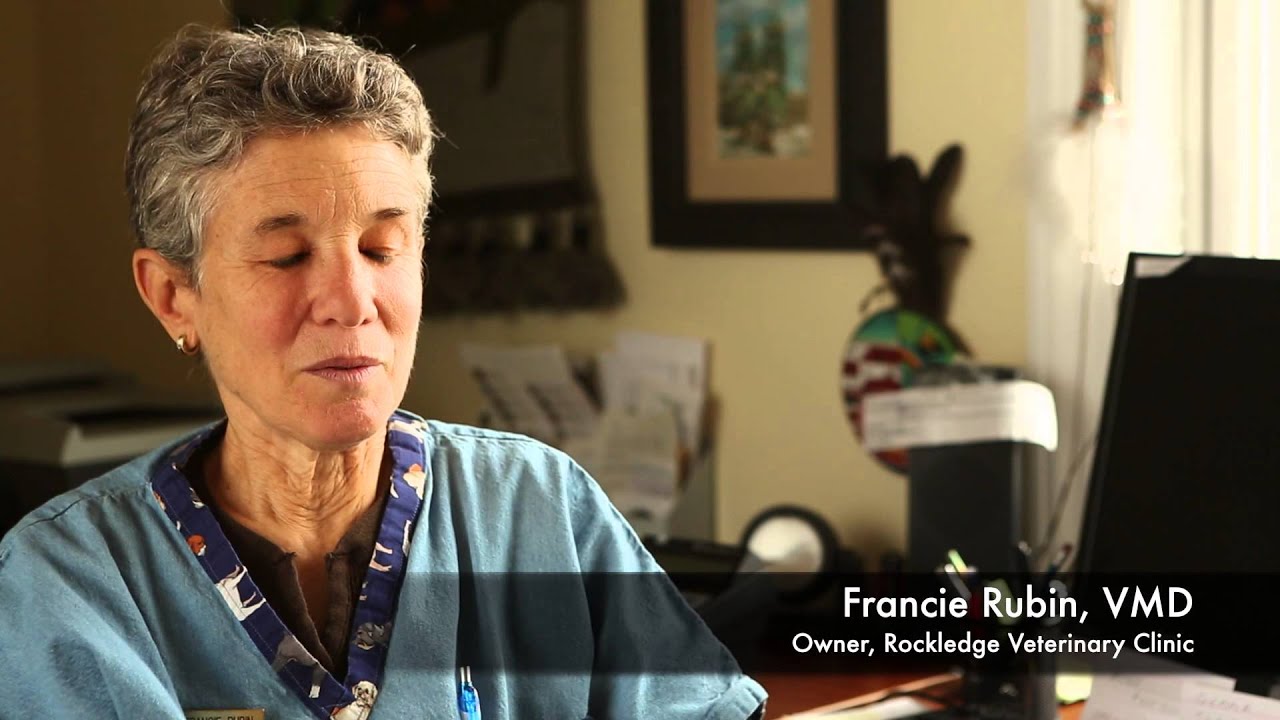 Rockledge Veterinary Clinic - Testimonials