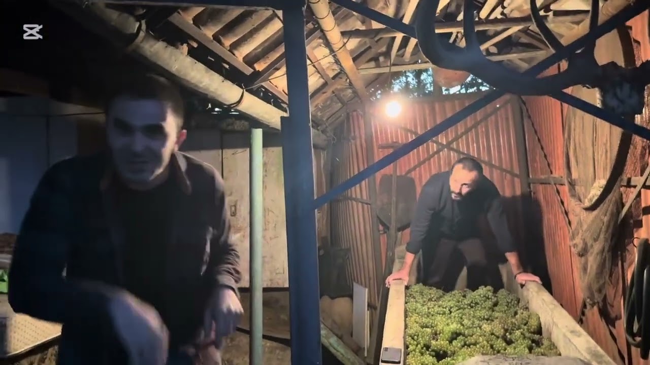 ღვანკითის ვლოგი