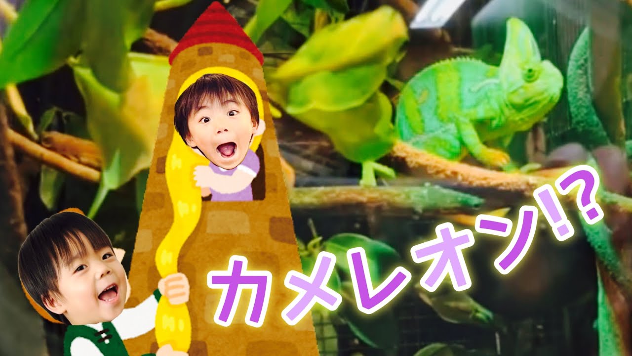 水族館とはまた違う⁉︎水の生き物がたくさんいたよー！