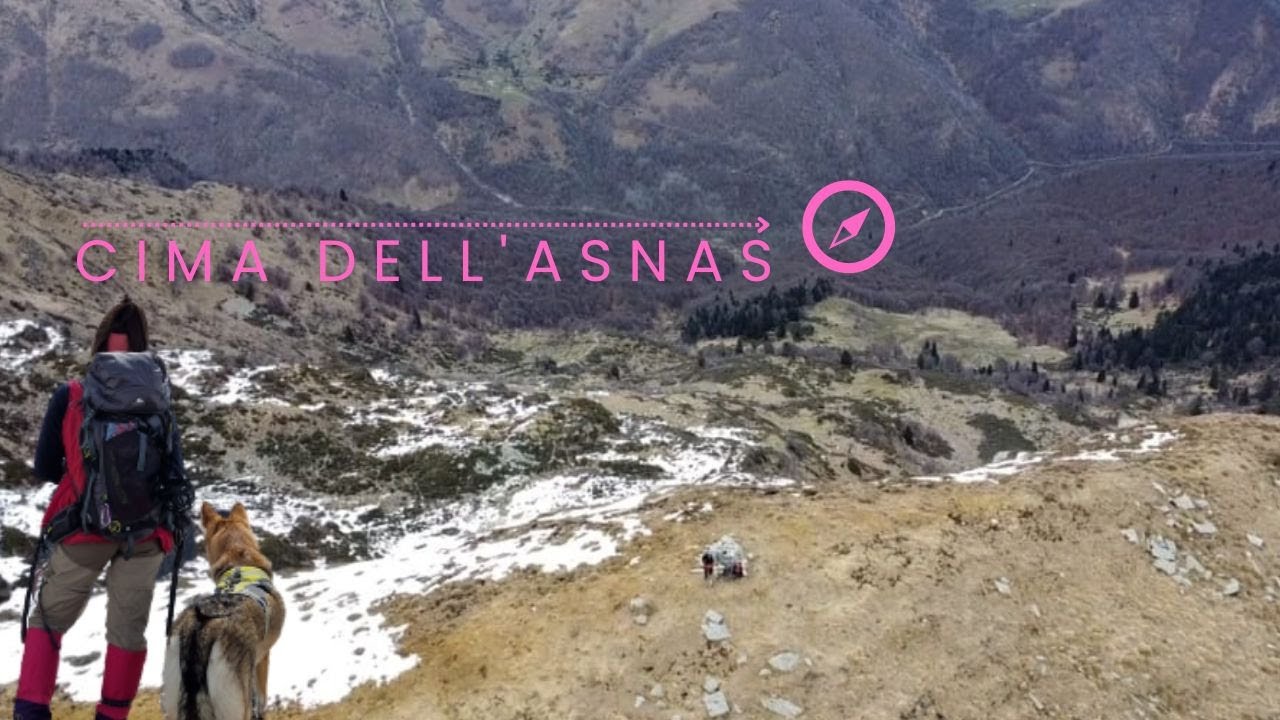 Cima dell'Asnas, perdiamo più volte il sentiero - Trekking 4 zampe