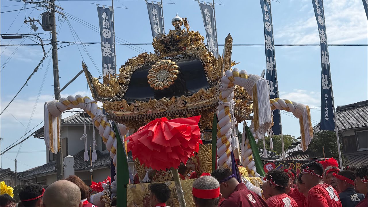 2025年10月14日 八幡山に登る瞬間！ 今年(2025）こそはと思ったらまさかの1発登り！いや〜めっちゃカッコよかった😊 来年(2026）こそは最高の登りを見せて欲しい！ サムネだけ撮り忘れ💦