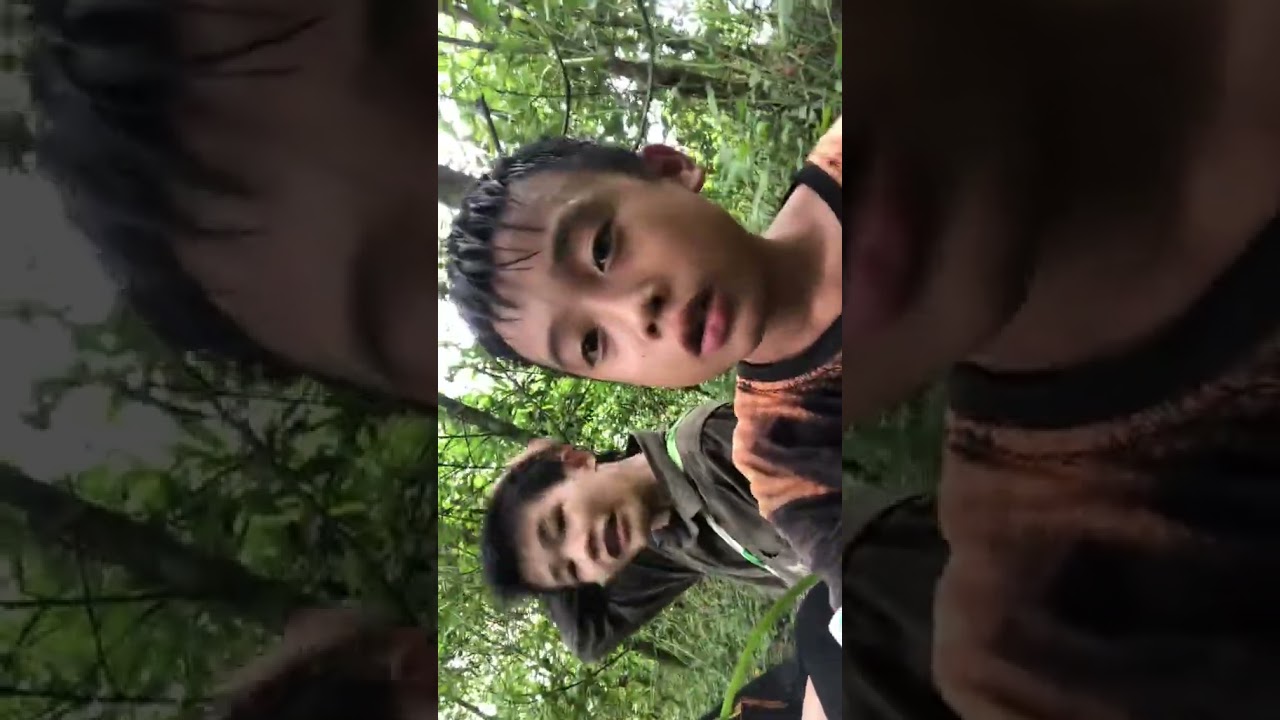 taivideo vn%20 %20Tiktok