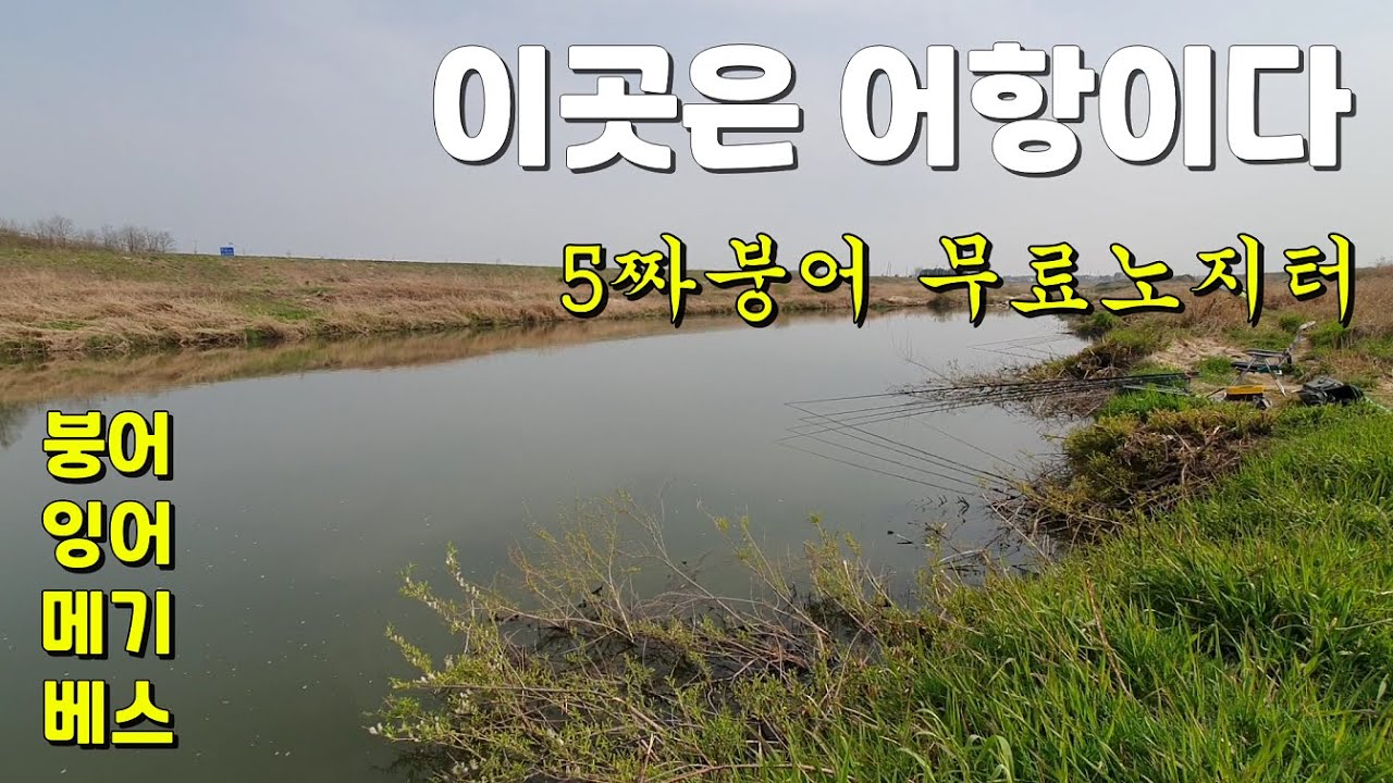 이곳은 어항이다 5짜붕어포인트 소개 무료터 노지낚시 붕어낚시 민물낚시