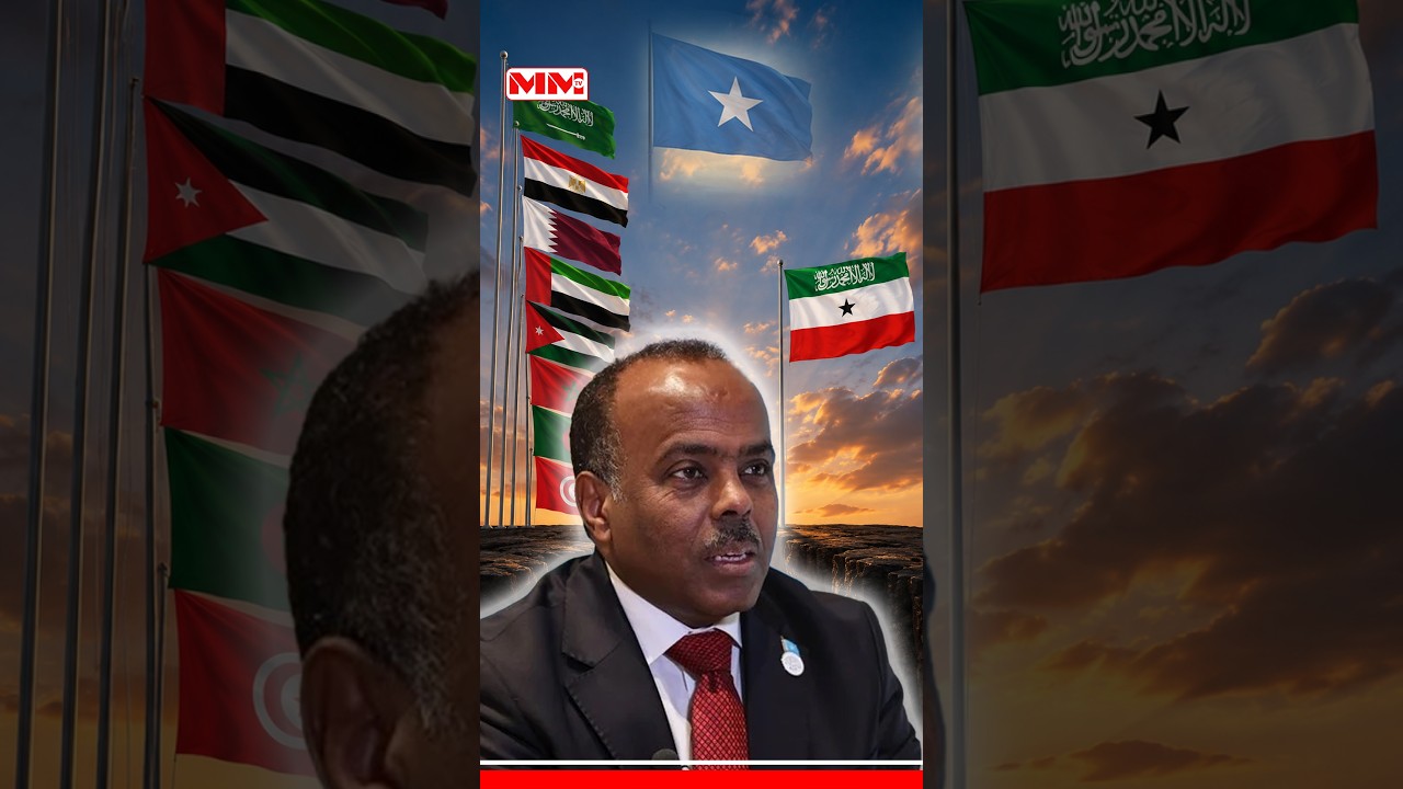 Somalia oo dalalka Carabta ka baryaysa baajinta aqoonsi kale oo Somaliland hesho.