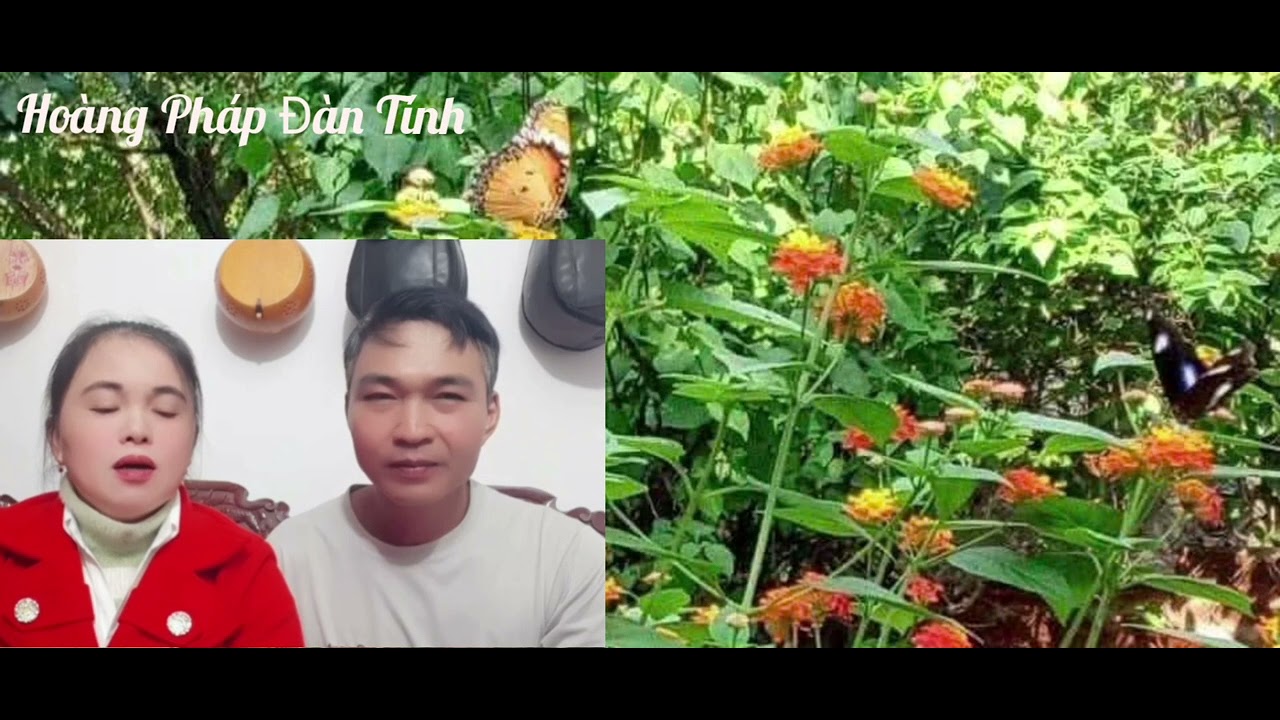 Bjóc Phông Chang Mùa Xuân Mèng Ngỏ .Rà Càm Mà Kha Ló Chộp Căn 