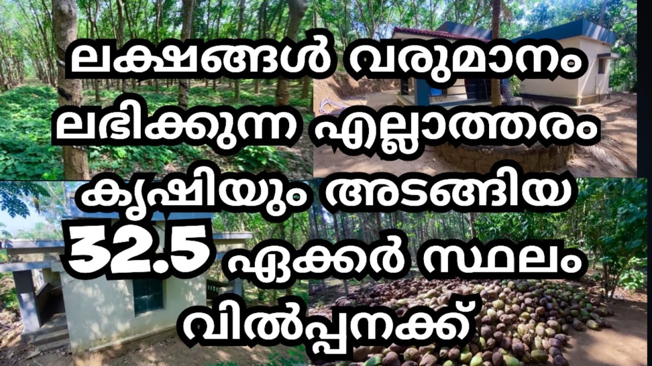 ലക്ഷങ്ങൾ വരുമാനം ലഭിക്കുന്ന എല്ലാത്തരം കൃഷിയും അടങ്ങിയ 32.5 ഏക്കർ സ്ഥലം വിൽപ്പനക്ക് PHONE:9946591911