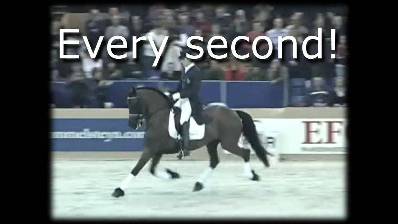 Inch by inch | Equistrianism | Remember HD!