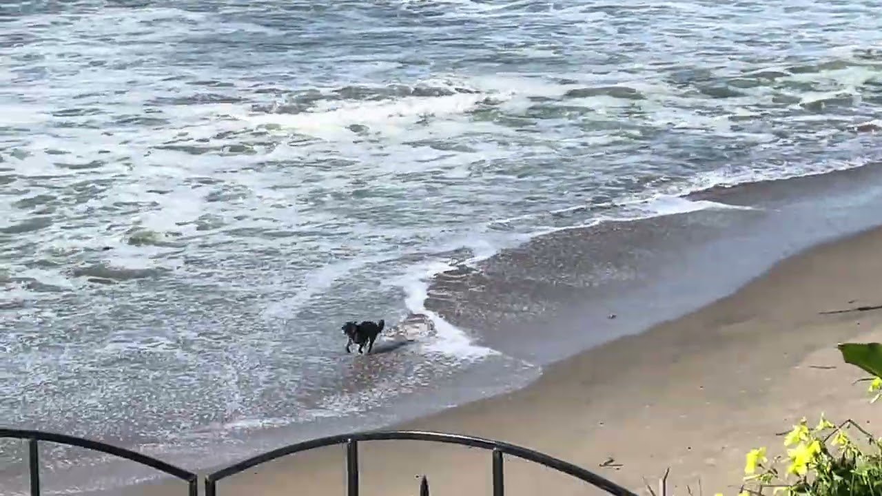 March 12, 2026 Sorry YouTube is still Broken at The Beach NorCal Santa Cruz California #socal