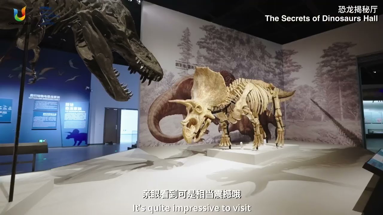 Chengdu Nature History Museum