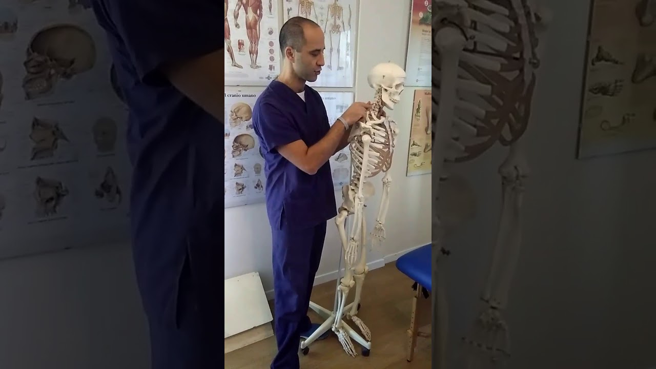 Detensione degli scaleni