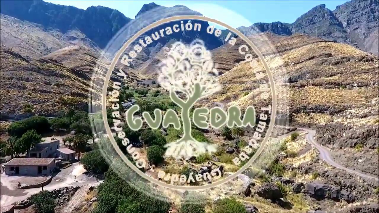 CANTO A GUAYEDRA - Redondo de Guayedra - Aicá Maragá