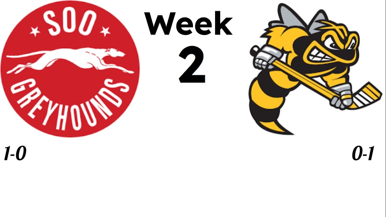 Sting vs Greyhounds week 2