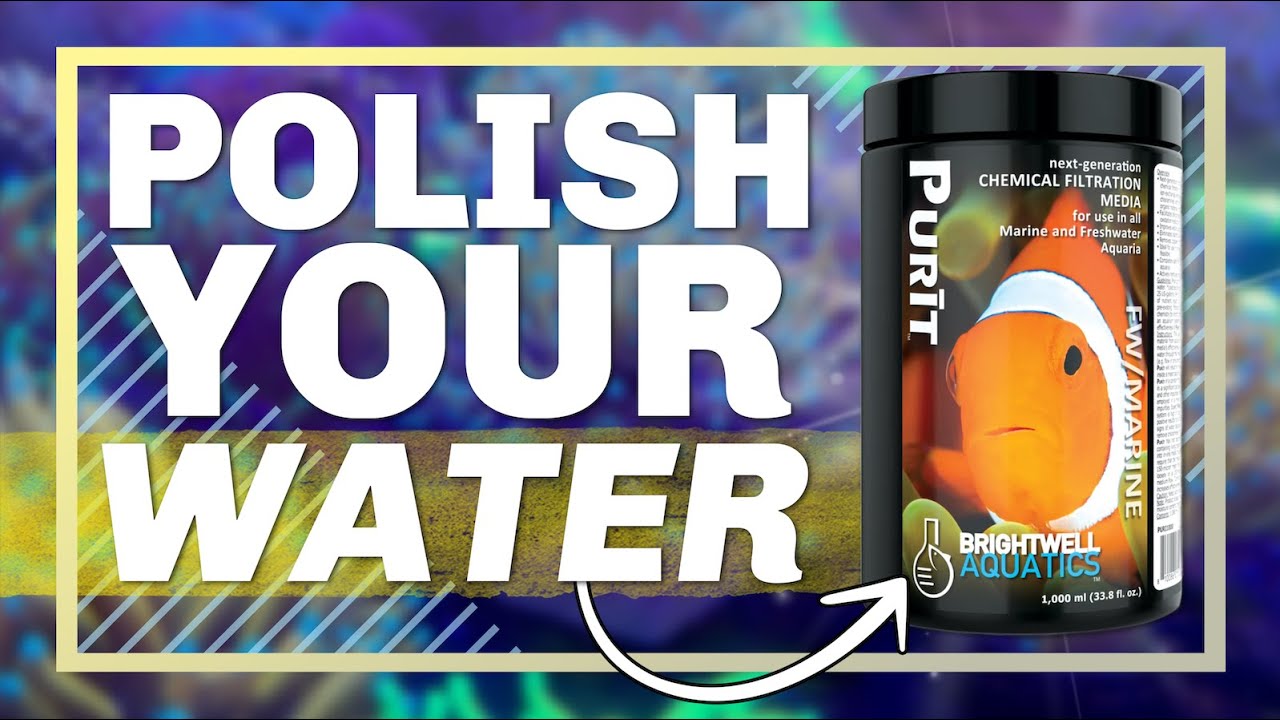 The Key to Crystal Clear Water When Your Aquarium Feels Off