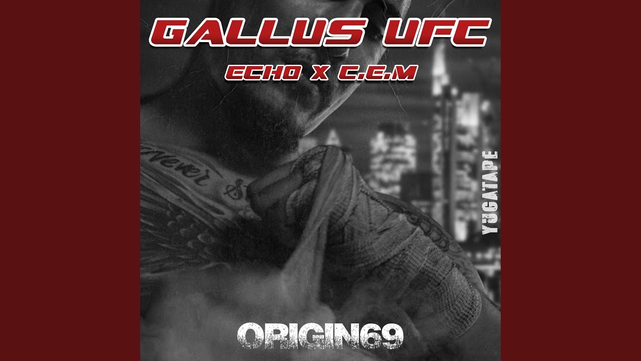Gallus UFC