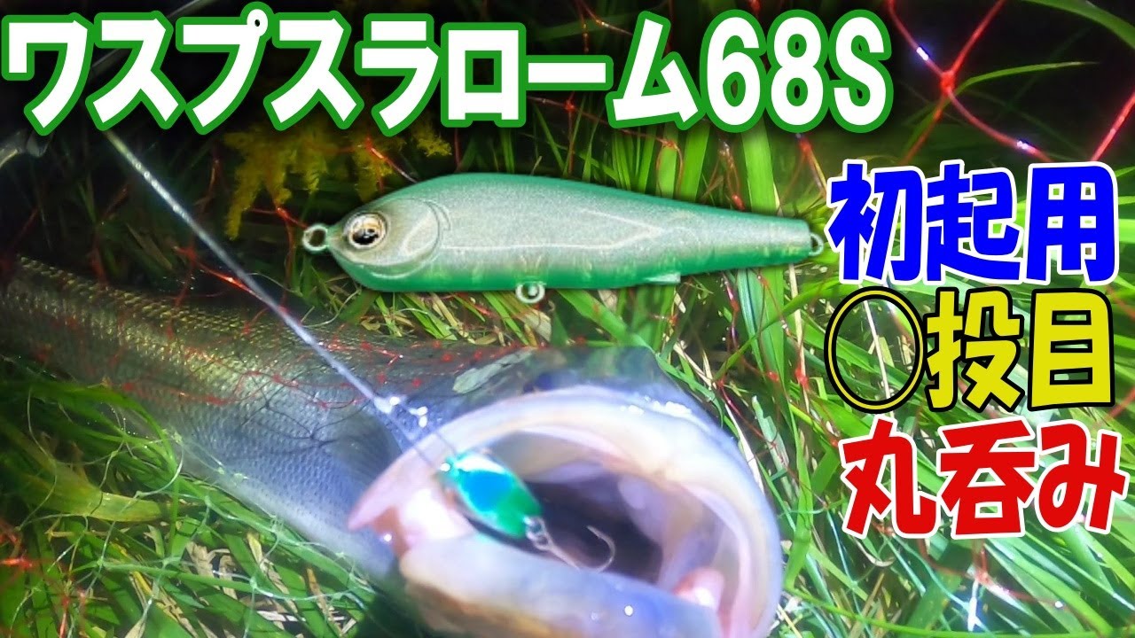 【リバーシーバス】ワスプスラロームがエグすぎた！たった◯投目で丸呑まれ！〈2025年10月下旬〉