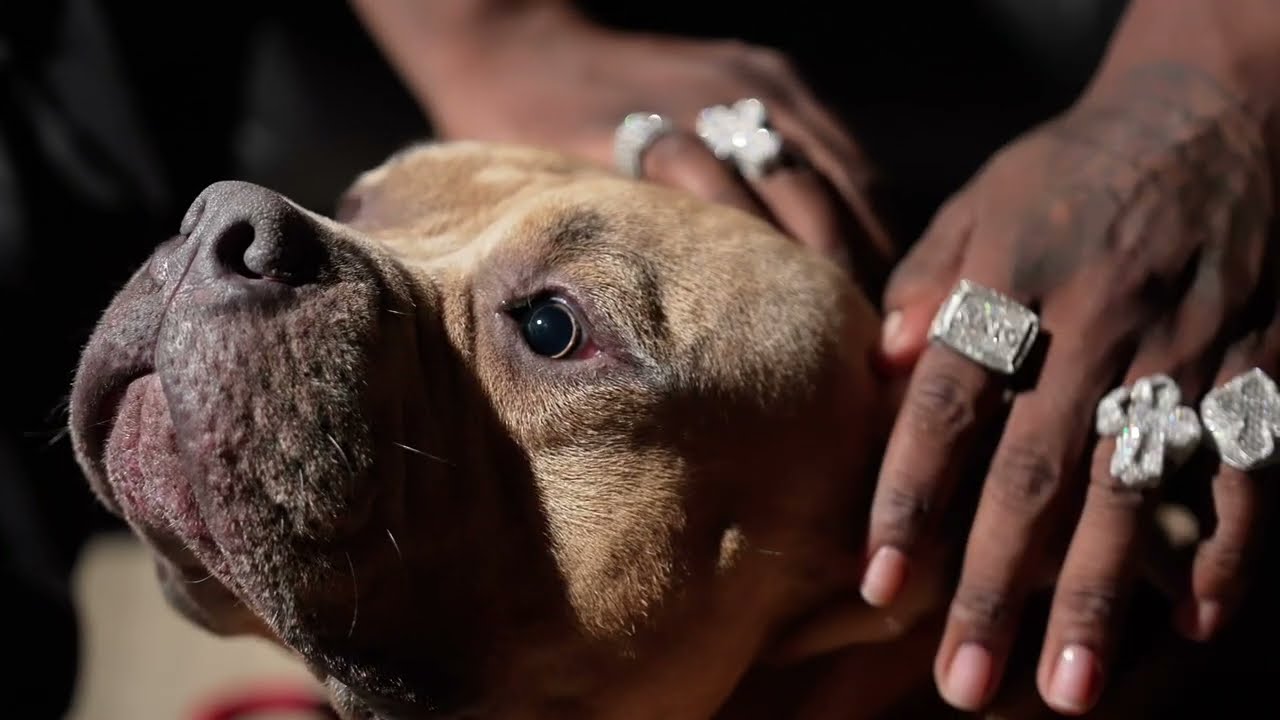 Mike Clark Jr - Dog House (Official Video) #MikeClarkJr #DogHouse