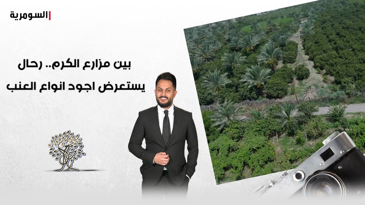 بين مزارع الكروم.. رحال يستعرض مشاكل المزارعين واجود انوع العنب في صلاح الدين