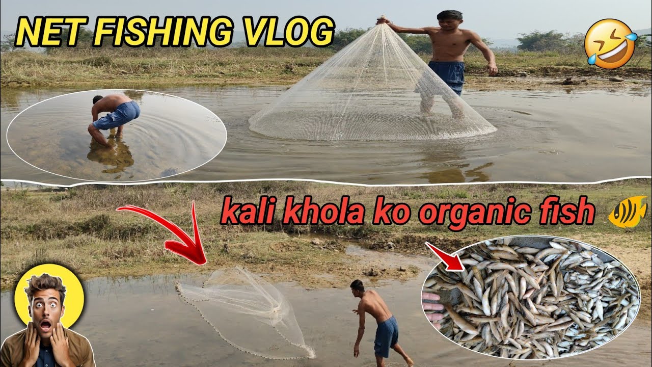 Kali khola tira organic fish 🐠 hunting gardai ||  TRADITIONAL STYLE NET FISHING VLOG || 