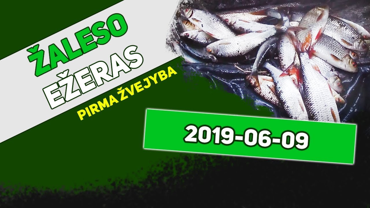 Žvejyba dugnine ežeras Žalesas (Pikeli&scaron;kių ežeras). Smulkmė (Kuoja ir Raudė).