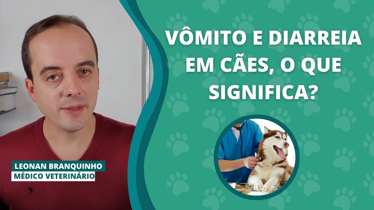 Vômito e diarreia em cães, o que significa?