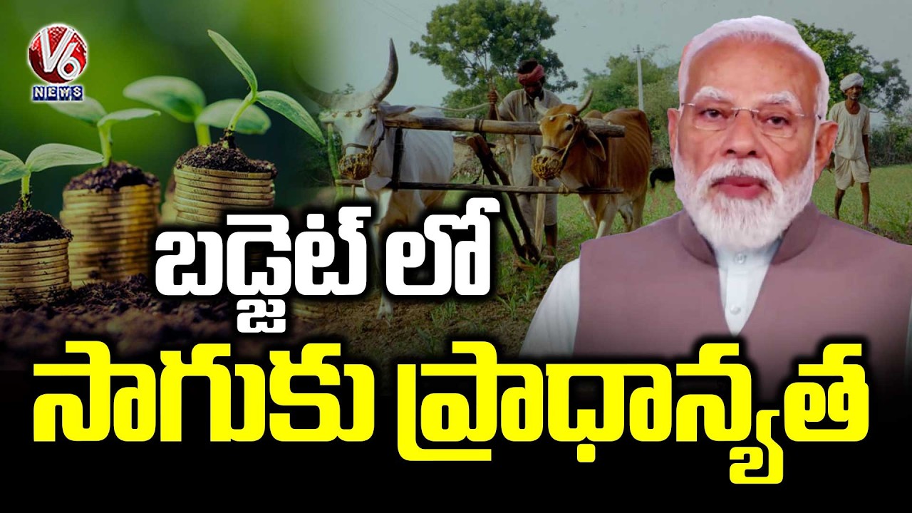 Export Oriented Agriculture and Animal Husbandry Crucial for Rural Economy : PM Modi  | V6 News