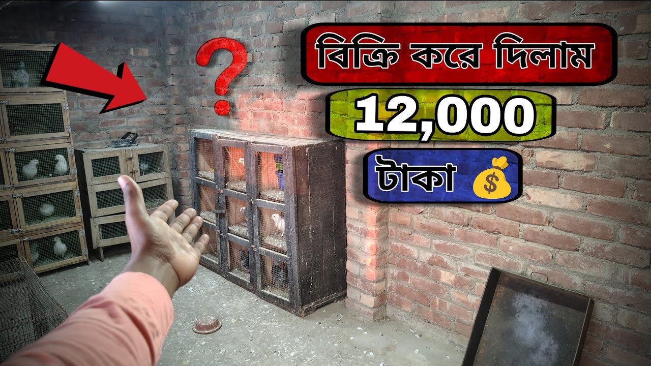 পুরনো ঢপ গুলো বিক্রি হয়ে গেল। 🎉🤗