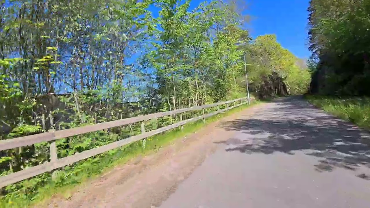 Bj&auml;re banvall
