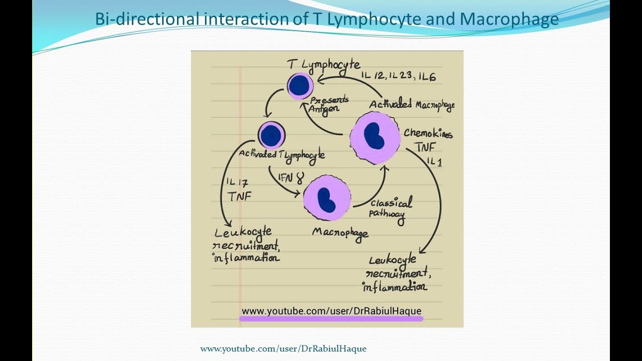 Chronic Inflammation (HD)