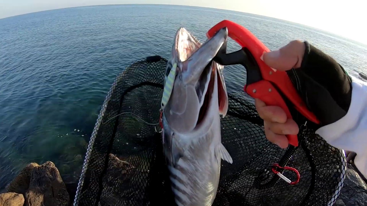LRF ile TORİK AVI !!! - (kalama dinle) - Light Rock Fishing