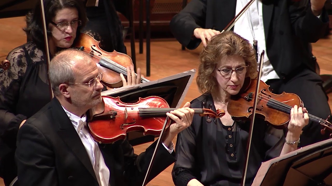 Diego Vega, M&uacute;sica Muisca