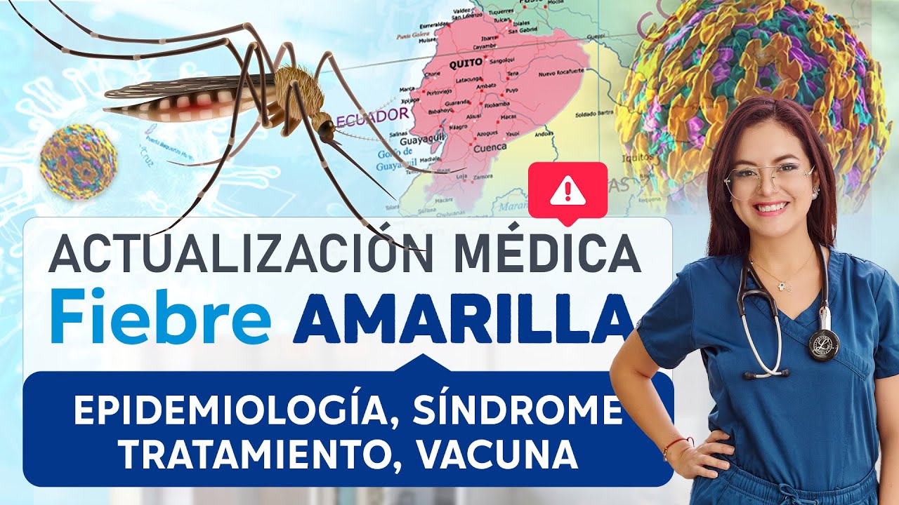 Fiebre Amarilla en Ecuador: Guía DEFINITIVA para tratarla! 🩺 Diagnóstico, Tratamiento y Vacunación