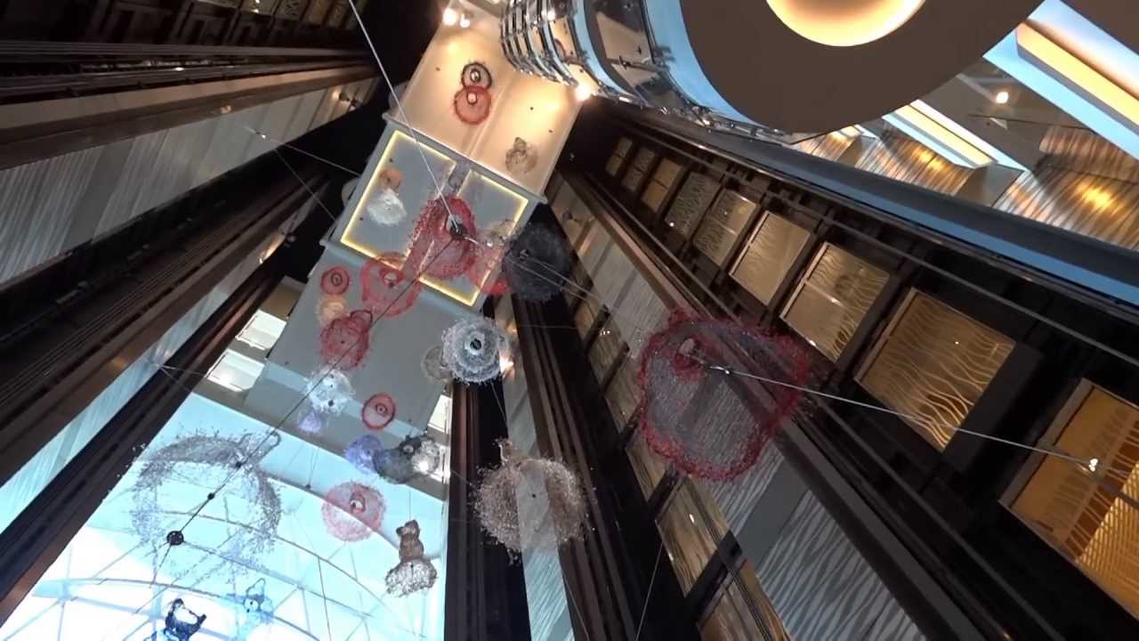 Allure of the Seas Cruise Ship Elevators